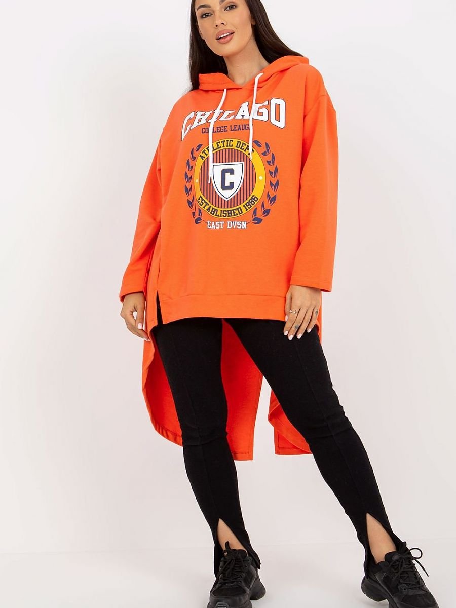 Sweatshirt model 172669 Fancy-1